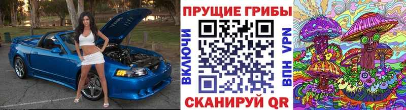 наркошоп  Рузаевка  мега ССЫЛКА  Галлюциногенные грибы ЛСД 